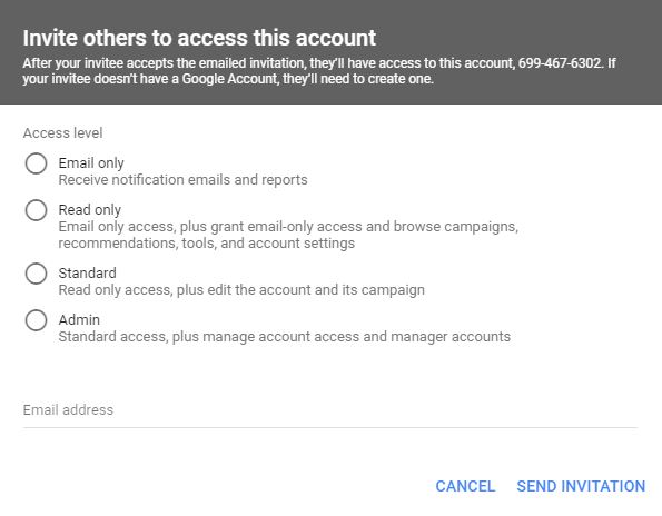 Google ads permissions: email only, read only, standard access, and admin access